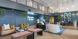 Novi at Queen Anne Gallery 37