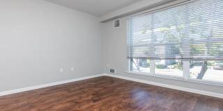 The Village at Town Center Gallery 110