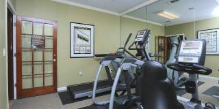 Alessia Gardens Gallery 13