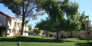 7356 N Via Camello Del Norte Gallery 20