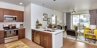 Arista at Ocotillo by Mark-Taylor Gallery 20