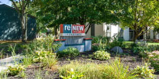 ReNew Madison Gallery 17