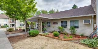 Willow Springs Gallery 5