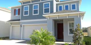 Brand new home in Zephyrhills Gallery 1