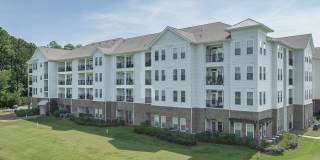 The Grove at Carolina Park Apartments Gallery 1