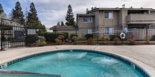 Greenback Gardens Gallery 1