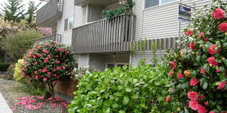 Golden Inca Apartments | Where Comfort Meets Style Gallery 7