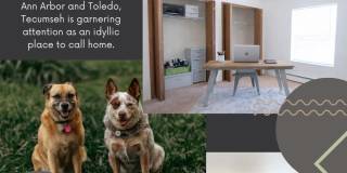 1074 E Chicago Blvd Gallery 1