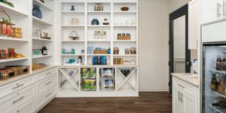 The Lights at Northwinds Gallery 12