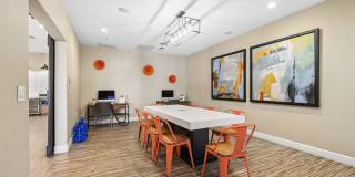 Xander 3900 Gallery 14