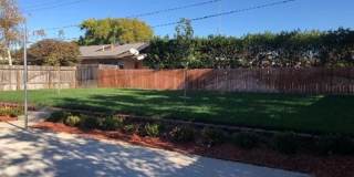 3-Bed 2-Bath North Chico Residential Gallery 22