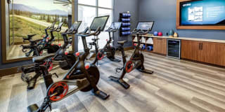 Icon Apartment Homes at Ferguson Farm Gallery 25