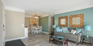 Cape Landing Gallery 22