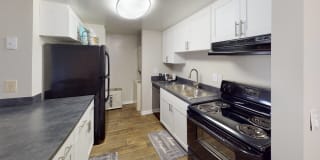 Laurel Oaks Gallery 1