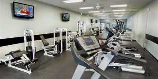 Seven Pines Gallery 12