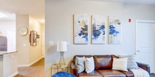 Steeplechase at Parkview Gallery 4