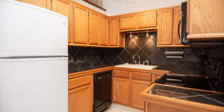 3208 Spruce Gallery 10