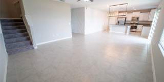 9831 LEMON DROP Loop Gallery 14