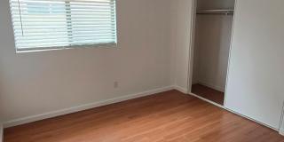 15537 W Gelding Drive Gallery 21