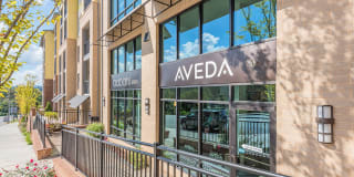 The District Gallery 37