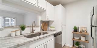 Derby at Steeplechase Gallery 48