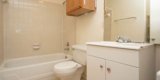 Room in 2 Bedroom Home in Austin Gallery 12