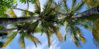 Vero Beach Florida Vero Beach Rent, LLC and Rental Property Management Company Gallery 32