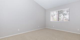 Mountain Springs Gallery 41