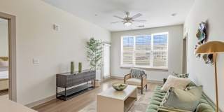 Allure Apartments Gallery 1