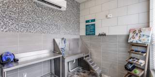 Williamson at the Overlook Gallery 16