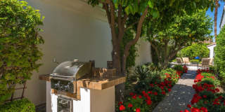 79365 Mandarina Gallery 47