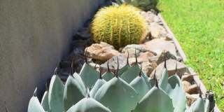 51225 Avenida Ramirez Gallery 30