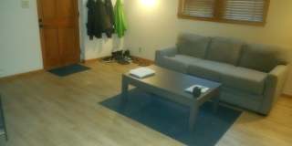 4418 W Lake Harriet Pkwy Apt 1 Gallery 4