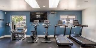 Avana Evergreen Gallery 36