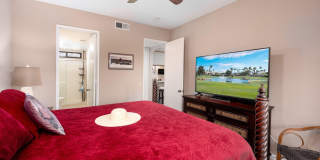 28914 Desert Princess Drive Gallery 12