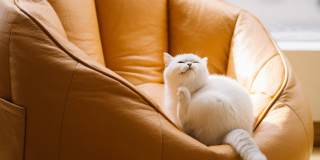 Abendroth Gallery 32