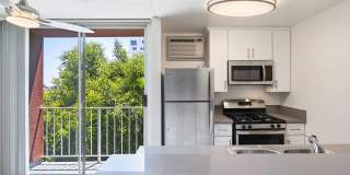 The Ruby Hollywood Gallery 8