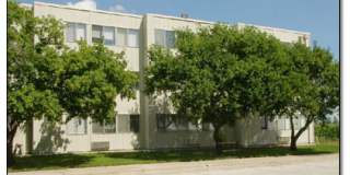 Meadow Lane Gallery 1