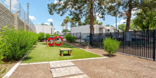 Sierra Pines Gallery 26