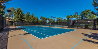 4010 E Sidewinder Court Gallery 56
