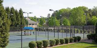 Pet-Friendly Forest Lakes North Townhome Gallery 18