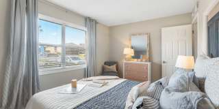 Sea Oats Sea Oats Gallery 76