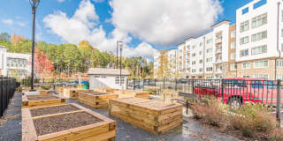 Briar Park 55+ Apartments Gallery 6