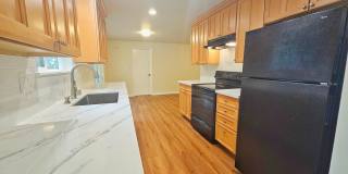 Beautifully Remodeled 3 Bed 2 Bath Rambler in Eastgate, Bellevue Gallery 9