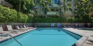 950 N Kings Rd Gallery 42