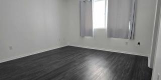 Bremerton 3BR Single Family: Newly Renovated, Furnished, Cats/Dogs OK Gallery 12