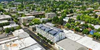 The Fitz Gallery 33