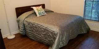 4581 MORNINGSIDE Gallery 5