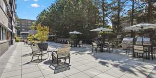 AVA Van Ness Gallery 31