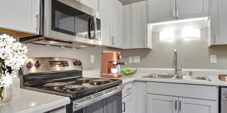 The Aurora Gallery 6